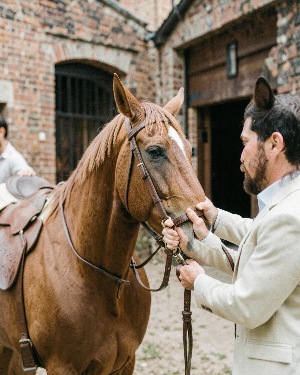 Editorial photograph of a dressage horse working in an indoor arena